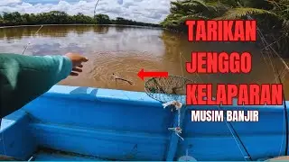 Mancing Udang Galah Sungai Suai ketika air besar  ‼️tarikan udang yang kelaparan #udanggalah