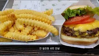 VLOG - Shake Shack GANGNAM Seoul Korea | Kakao Friends | 강남 쉑쉑 버거 먹방 브이로그 | 옛날 추억 팔이 이야기 서울 투어 2022