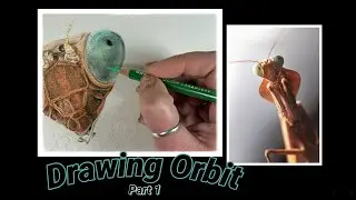 Drawing techniques I use while drawing my praying mantis Orbit&rsquo;s eye