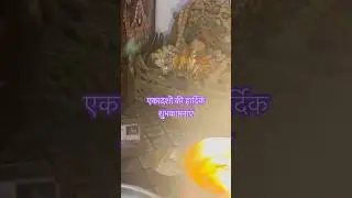 माघ मास# की एकादशी#ष्ट्तिला एकादशी#viralshort