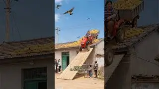 Aunt put the tractor on the roof ll Carriage House wooden artist ll #cartoon​ #shortvideo&lrm;