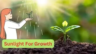 Why Do Plants Need Sunlight to Grow? The Science of Photosynthesis (2 Minutes)