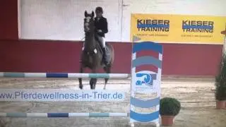 Albert Einstein Turnier Monaise 2014
