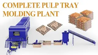 Cost-Saving 4000PCs/h Egg Tray Machine: Get Ahead in Eggs Packaging Business #eggtray #eggcarton