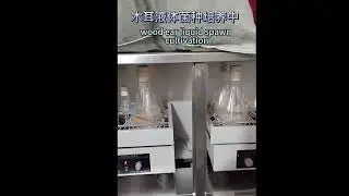Wood Ear Mushroom Liquid Spawn Production Shaker Cultivation Method#mushroomcultivation #automobile