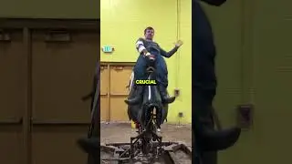 Что нужно, чтобы освоить езду на неоседланном диком коне