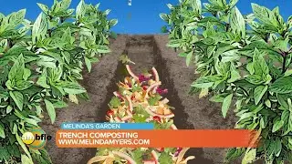 Melinda&rsquo;s Garden Moment - How you can do trench composting