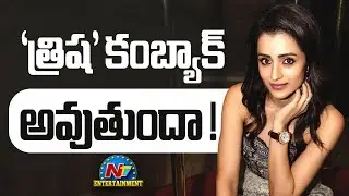 Is Trisha can Comeback with her Upcoming Movies Vishwambhara, Karuppu ? || @NTVENT