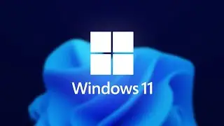 Windows 11's market share continues to slowly rise