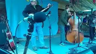 Handpicked bluegrass
