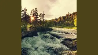 Rhythmic Waterside Dreams