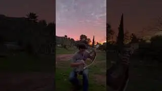 Stagolee on #clawhammer #banjo #music #clawhammerbanjo #banjosongs #banjomusic
