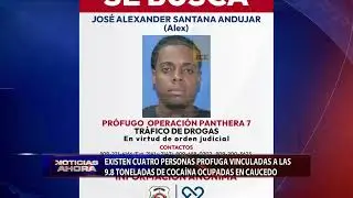 Existen cuatro personas pr&oacute;fugas vinculadas a las 9.8 toneladas de coca&iacute;na ocupadas en Caucedo