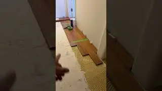 Como applicar el glue para pisos de madera#short#flooring#remodeling