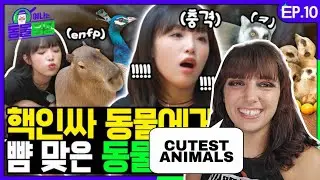 CHOI YENA Animal Detective (EP.10) With SIHYEON of EVERGLOW | IZ*ONE REACTION
