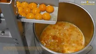 Egg breaker RX-6 with whites & yolks separation by OVO-TECH