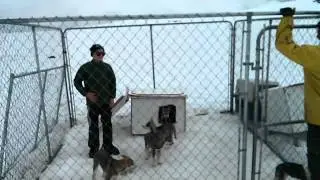 VID 20130708 140256