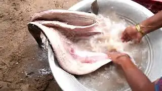 Indias biggest dry fish market| dry sora fish|odavalarevu fish marekt| chirala fish market
