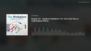 Episode 237 - Employee Handbook: New Year Good Time to Audit/Update Policies