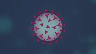 COVID 19 Vaccines 101