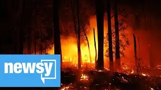 Victoria declares state of disaster