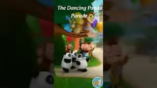 🐼 The Dancing Panda Parade  Fun Baby Song Extended Version  BoomerangIN