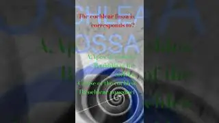 COCHLEAR FOSSA