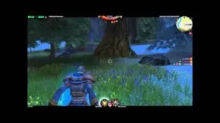 Darkfall Unholy Wars - Duel - Prim vs Warrior + Elementalist
