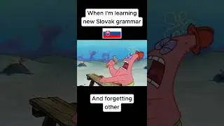 Yes! Slovak Grammar! 😶😓 #slovakia #slovaklanguage #slovensko #cesko  #slovakgirl #poland #russian