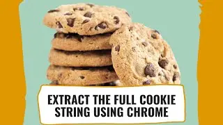 How To Copy The Full Cookie String From Any Website Using the Chrome Browser