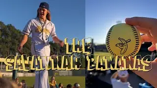 Are they a REAL TEAM!?