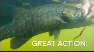 Wacky weekend fishing the Delaware River