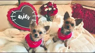 ARIES February 2019 - Love Reading