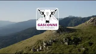 Voix Off Fran&ccedil;aise - Film de Pr&eacute;sentation - La Gasconne des Pyr&eacute;n&eacute;es