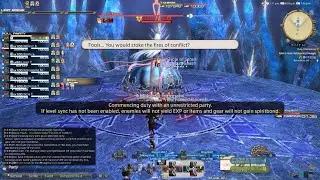 FINAL FANTASY XIV - E8S level 100 unsync kill