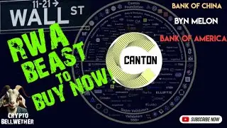 Canton &mdash; это доминирующий блокчейн RWA: триллионы ALT-акций в блокчейне и экосистеме готовы к рез...