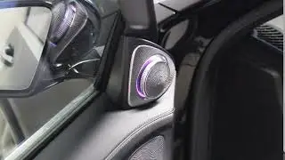 MVI 0785
