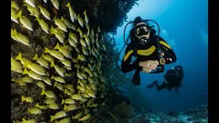 Best Costa Rica Dive Vacations with Bill Beard Costa Rica