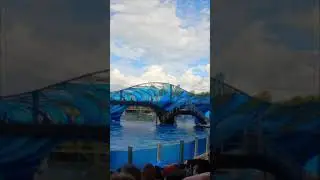 You won't believe the vibe at SeaWorld Orlando right now! 🤯 This stage setup is next level.