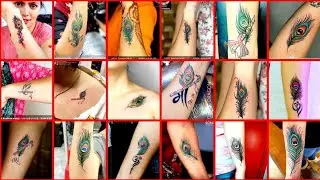 Feather Tattoo Designs। Peacock Feather Tattoo Designs। Calour full Feather Tattoo Designs On Hand।