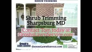Shrub Trimming Landscaping Contractor Sharpsburg MD Washington County Maryland