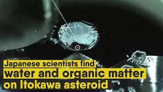 Japanese scientists find water and organic matter on Itokawa asteroid