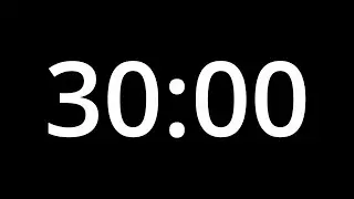 30 MINUTE TIMER - No Sound - Full HD 1080p - COUNTDOWN