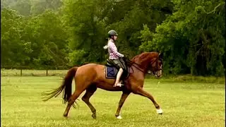 Don Joy Special schooling in field