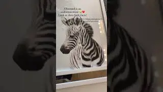 Customer video: Instagram user @capetownballerina - The Baby Animals Collection by The Crown Prints