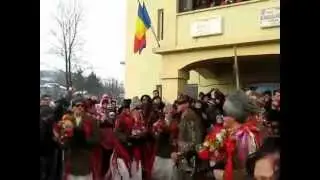 Caiuti din Cosula-Botosani