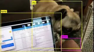Testing YOLO on 4sec iPhone Video