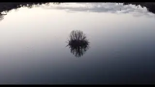 Dusk at the Lake.