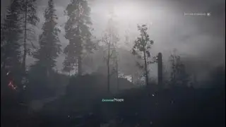 Call of Duty: WWII - King Tiger Attack!