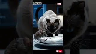 Sneaky mouse vs. staring cat | 5-second drama #CinematicAnimals#AnimalShorts#8KCinematic#Realistic